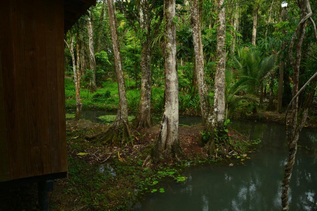 Hotel Kangaroo Y Restaurante Rio Dulce Town Extérieur photo